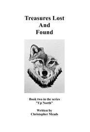 Treasures Lost And Found cover image