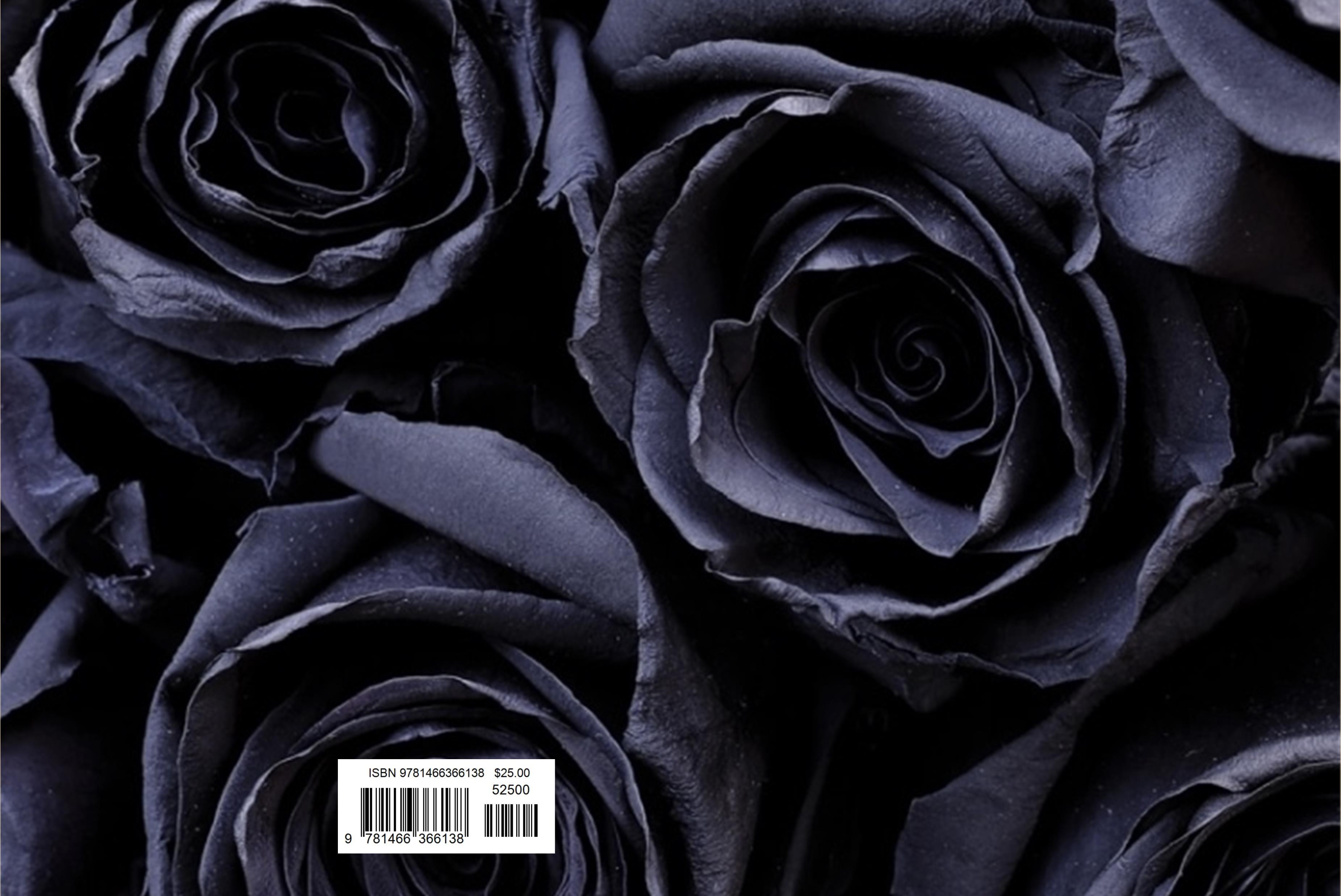 A Rose Grows In Harlem cover image