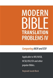 MODERN BIBLE TRANSLATION PROBLEMS IV cover image