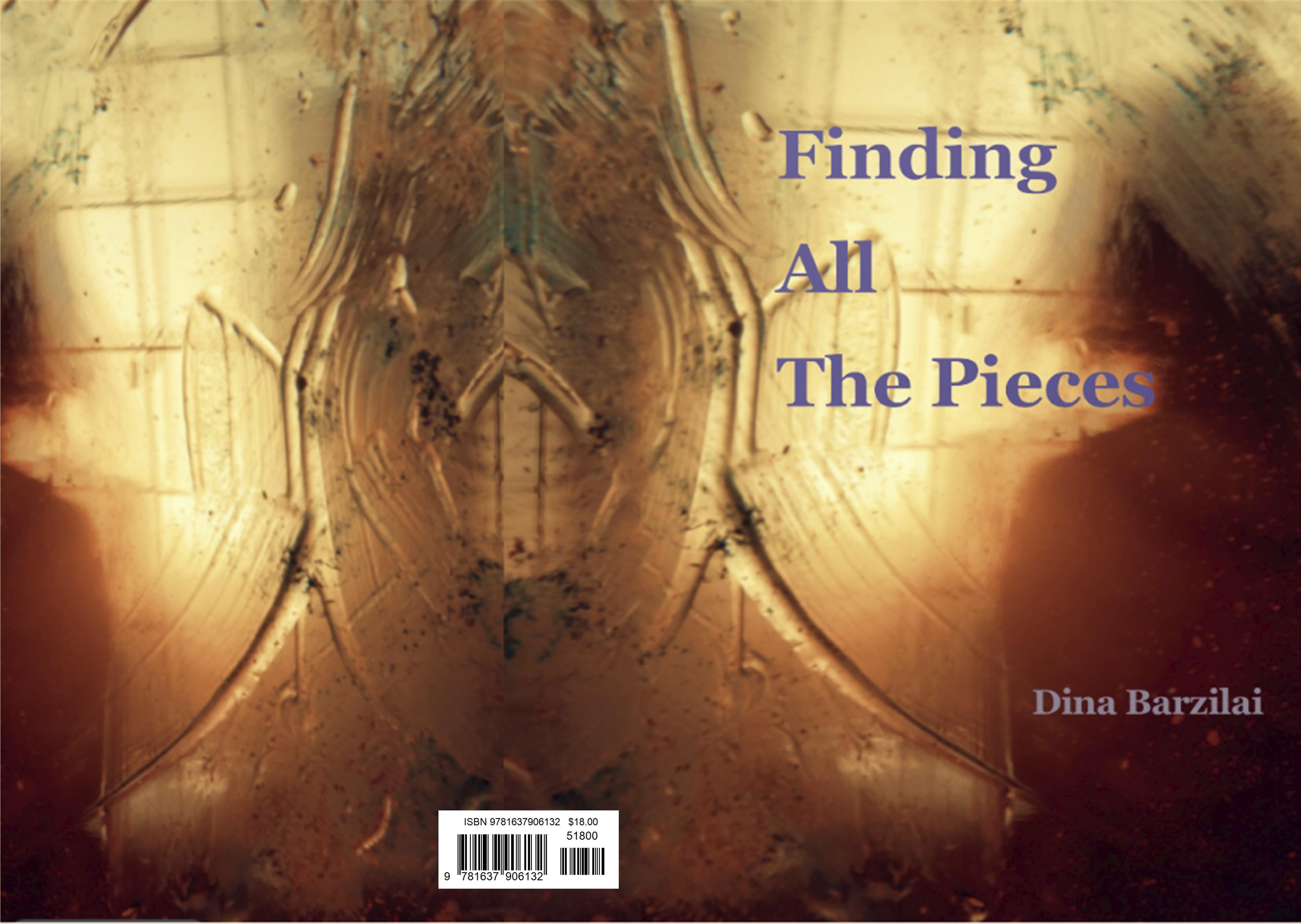 Finding All The Pieces cover image