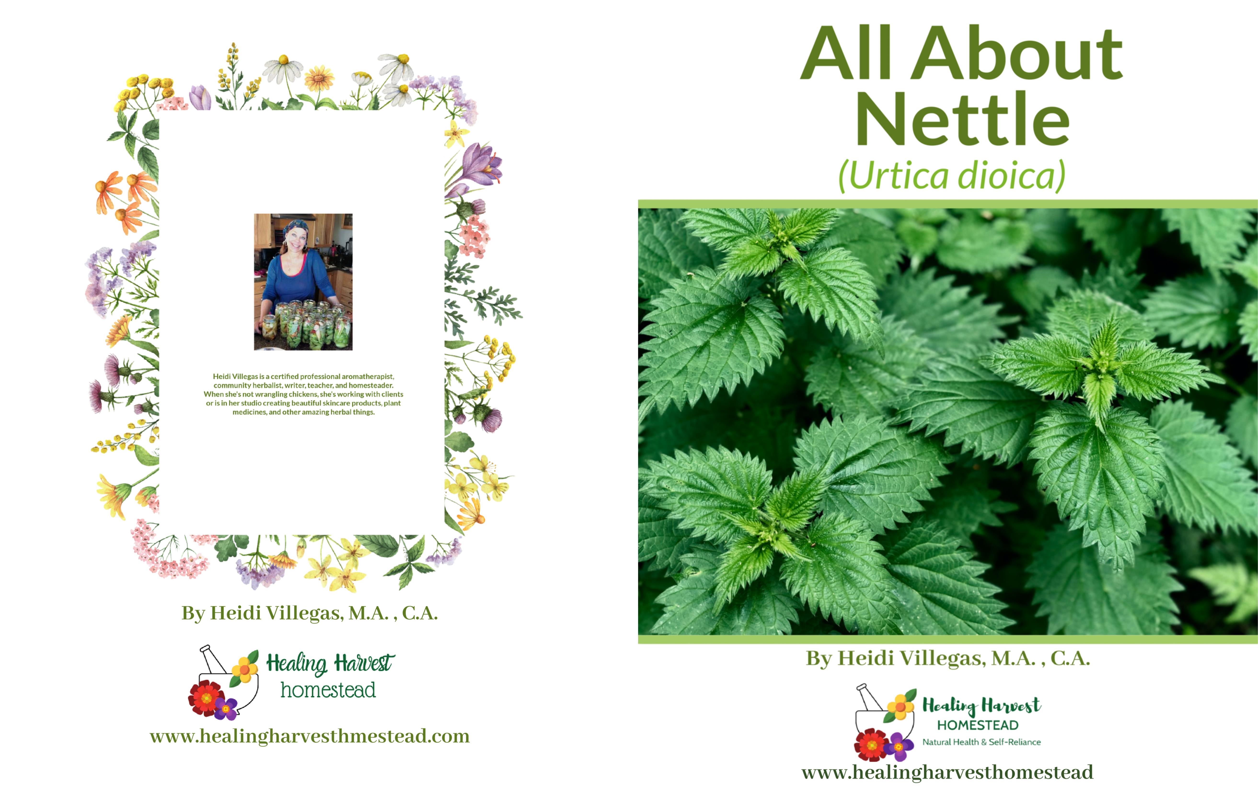 All About Nettle cover image