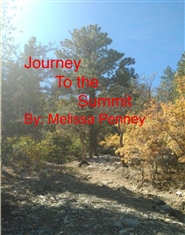 journey to the summit cover image