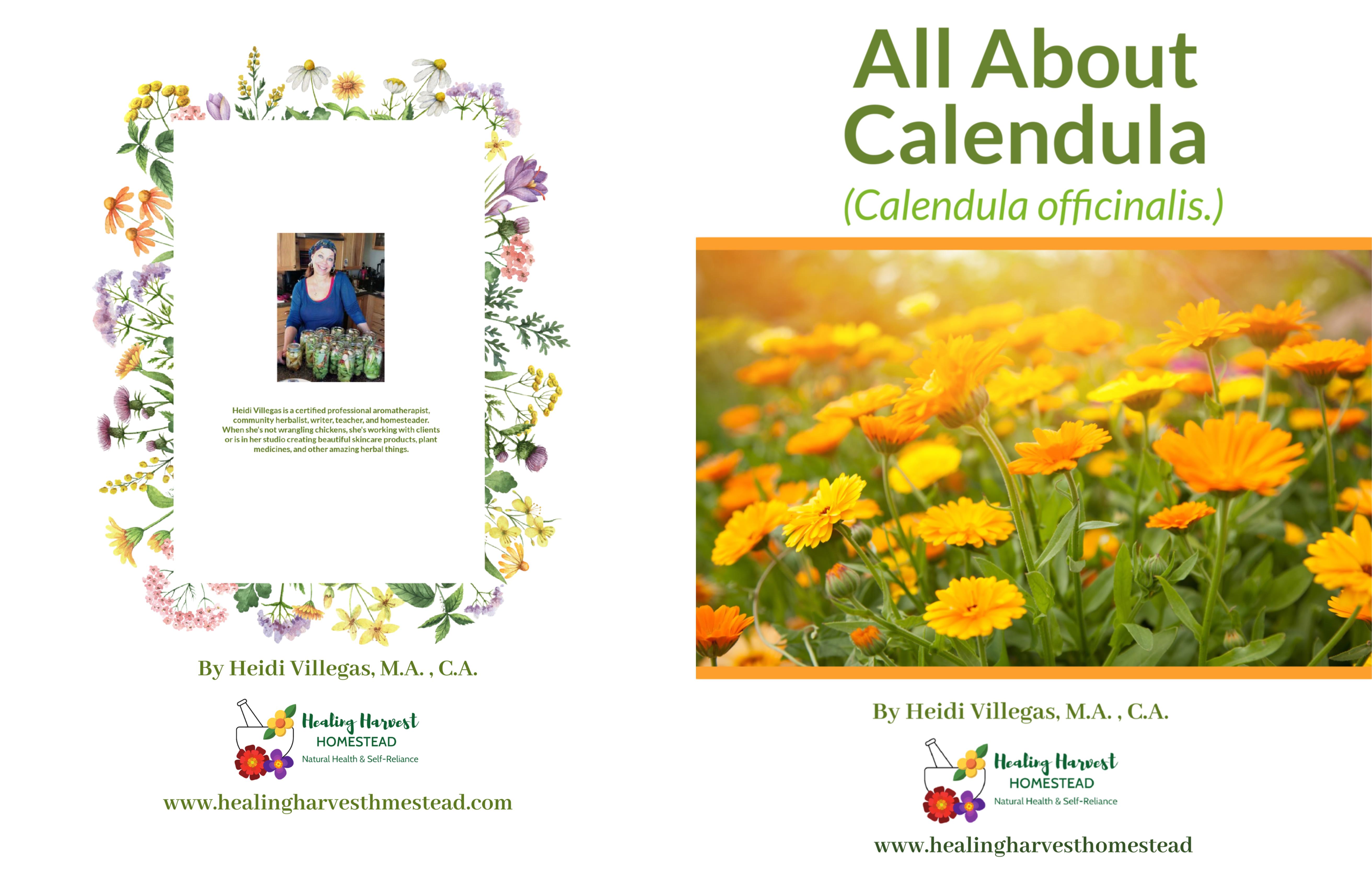 All About Calendula cover image