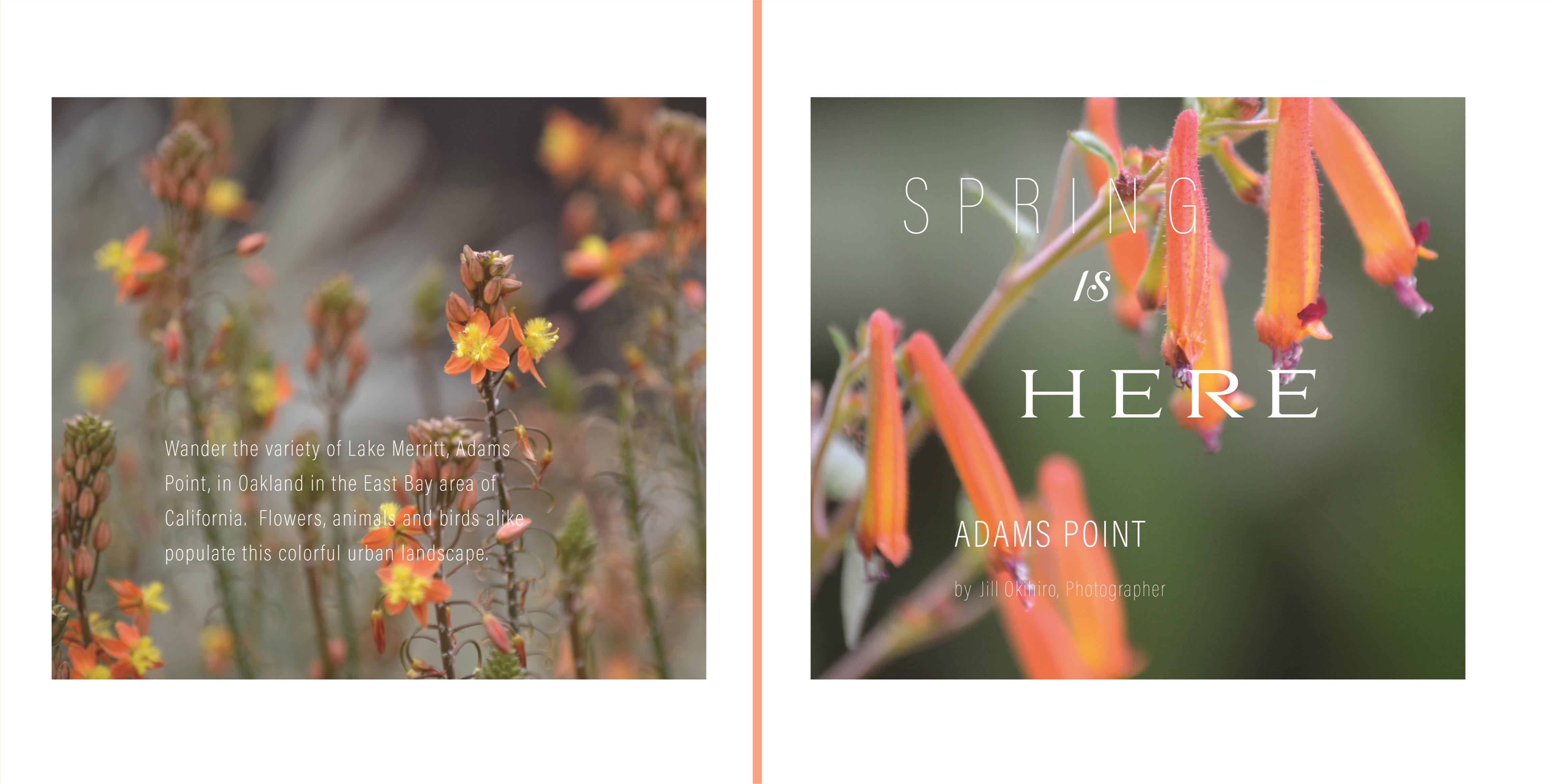 Spring is Here cover image