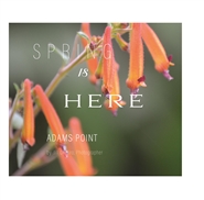 Spring is Here cover image