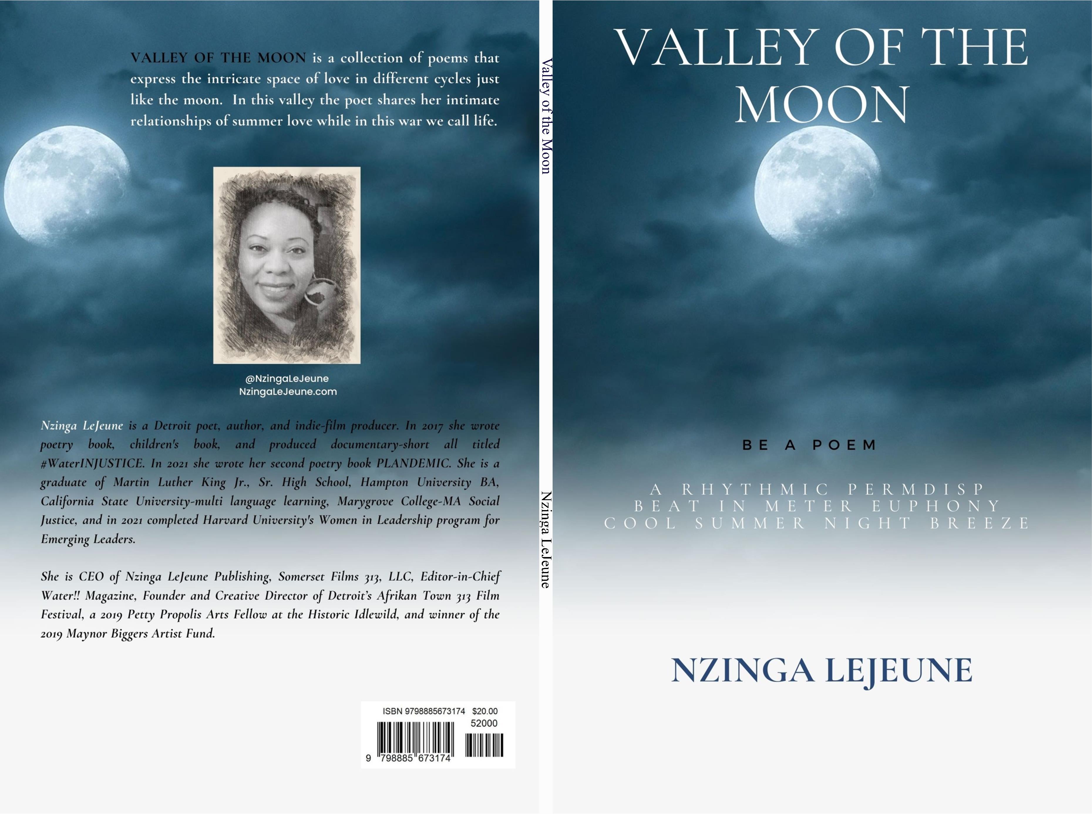 Valley of the Moon cover image