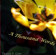 A Thousand Words cover image