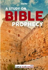 The Bible Prophecy Book- cover image