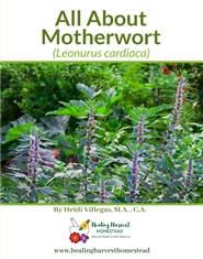 All About Motherwort cover image