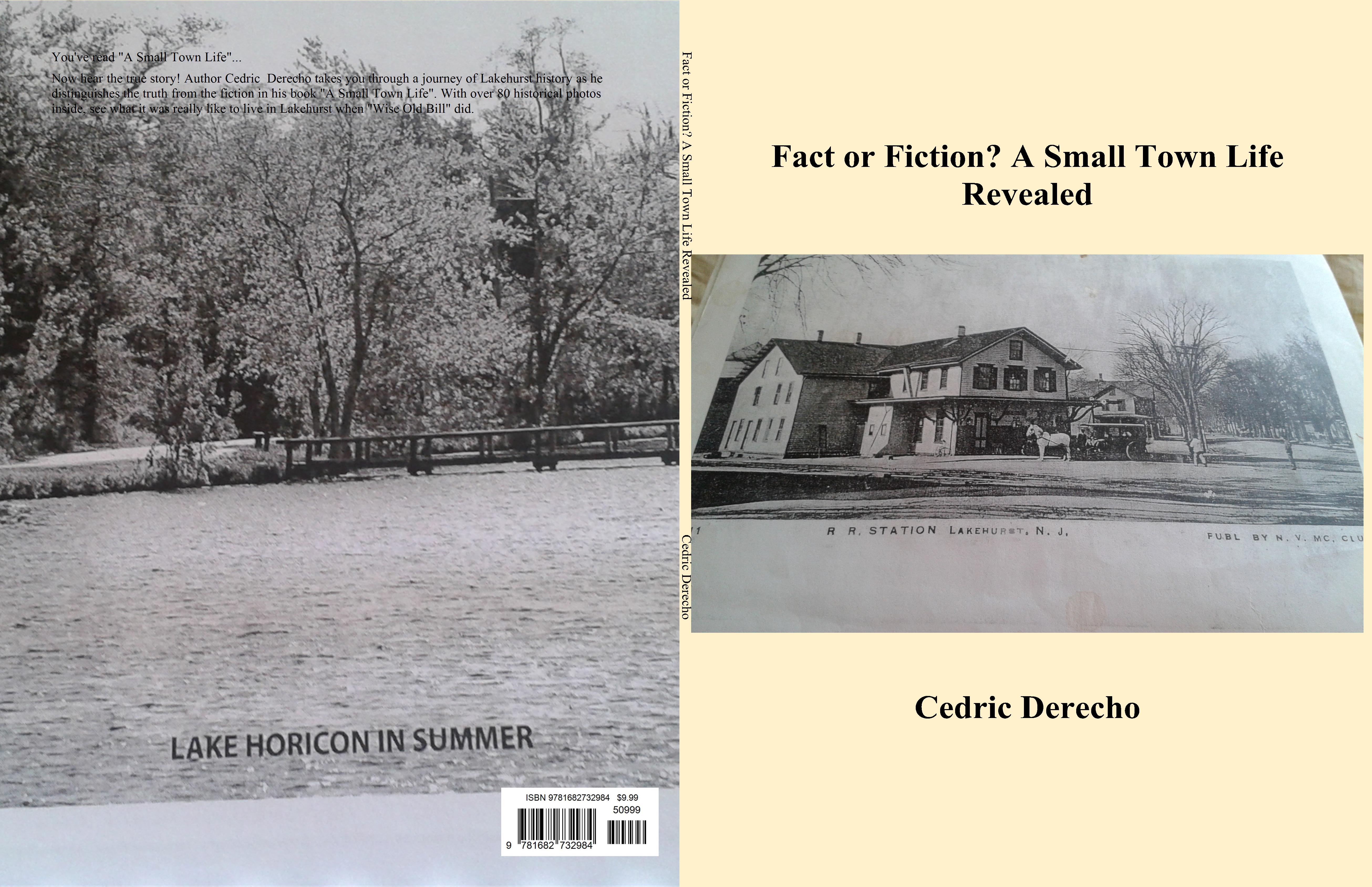 Fact or Fiction? A Small Town Life Revealed cover image