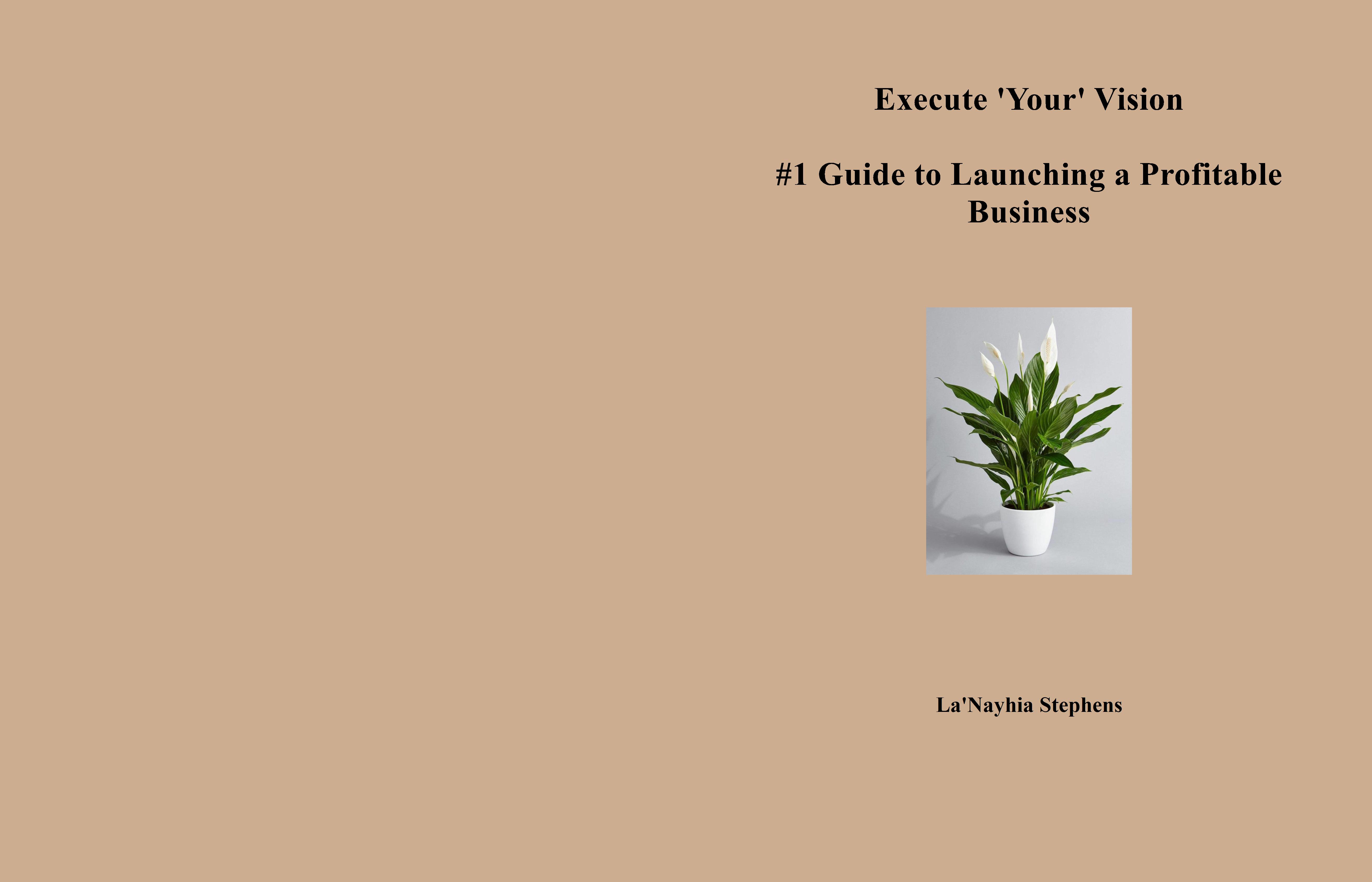 Execute Your Vision cover image