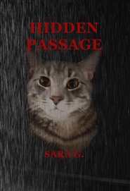 Hidden Passage cover image
