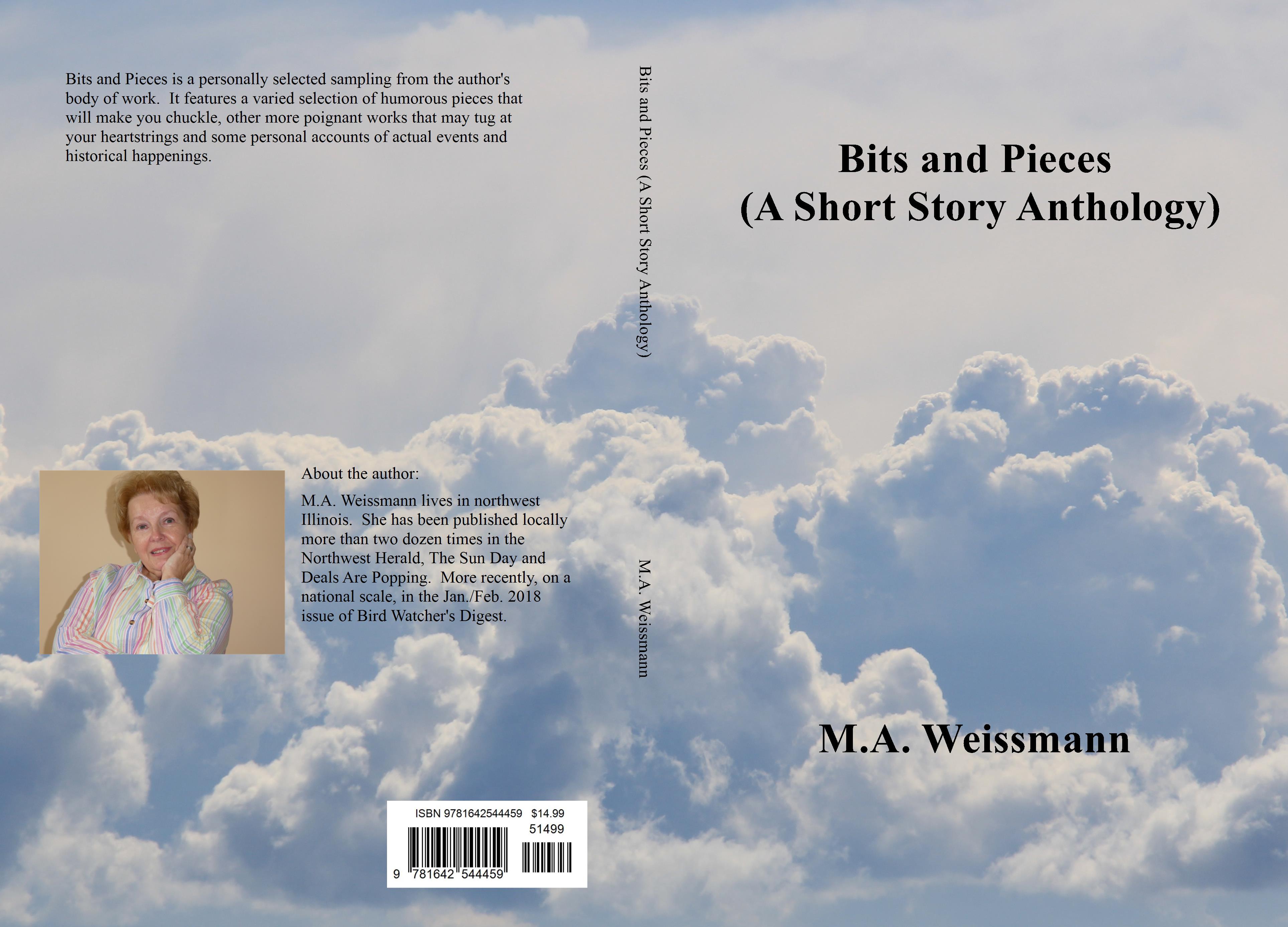 Bits and Pieces (A Short Story Anthology) cover image