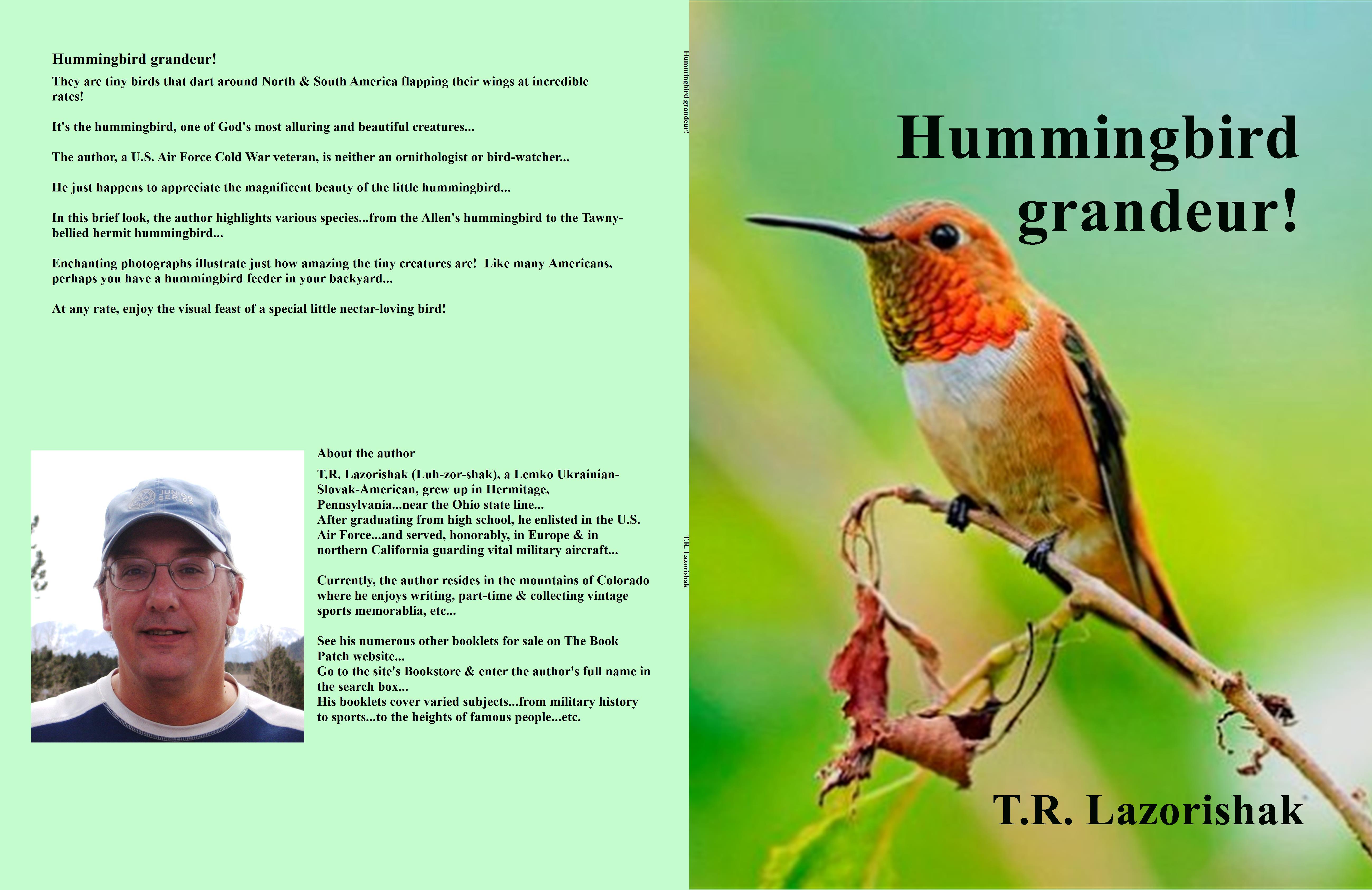 Hummingbird grandeur! cover image