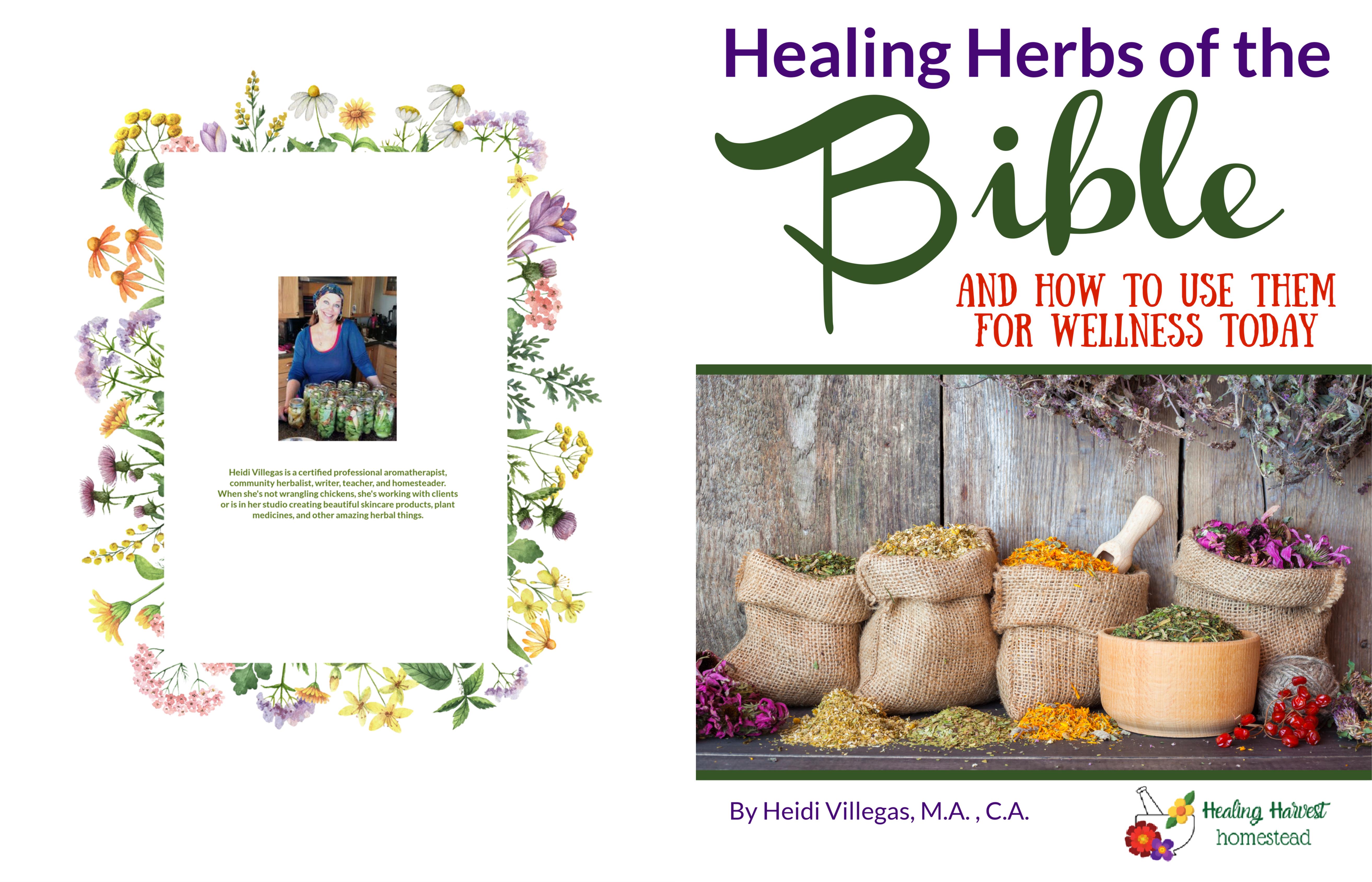  Herbs of the Bible cover image