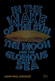 In the Wake of the Sun, th ... cover image