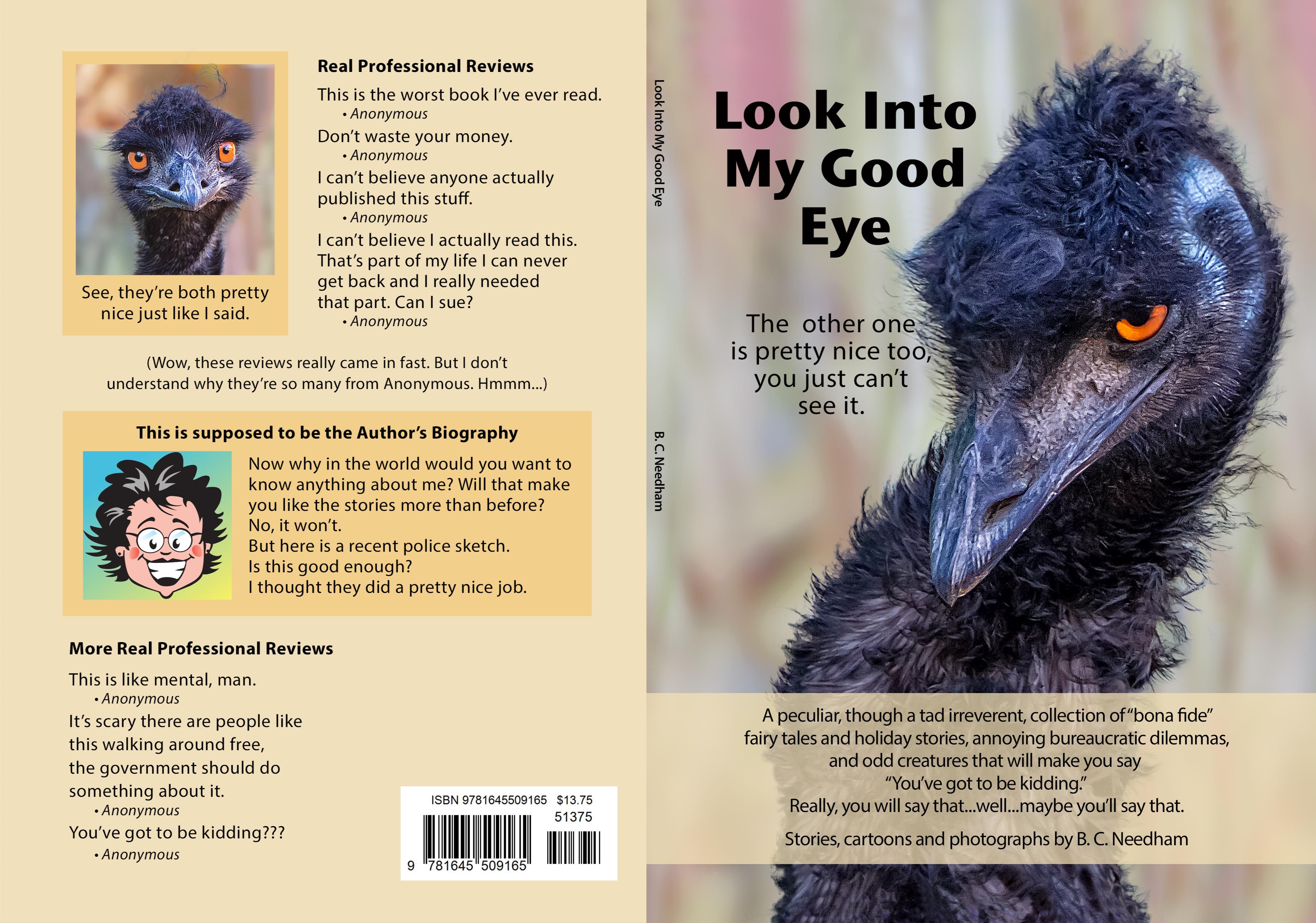 Look Into My Good Eye cover image