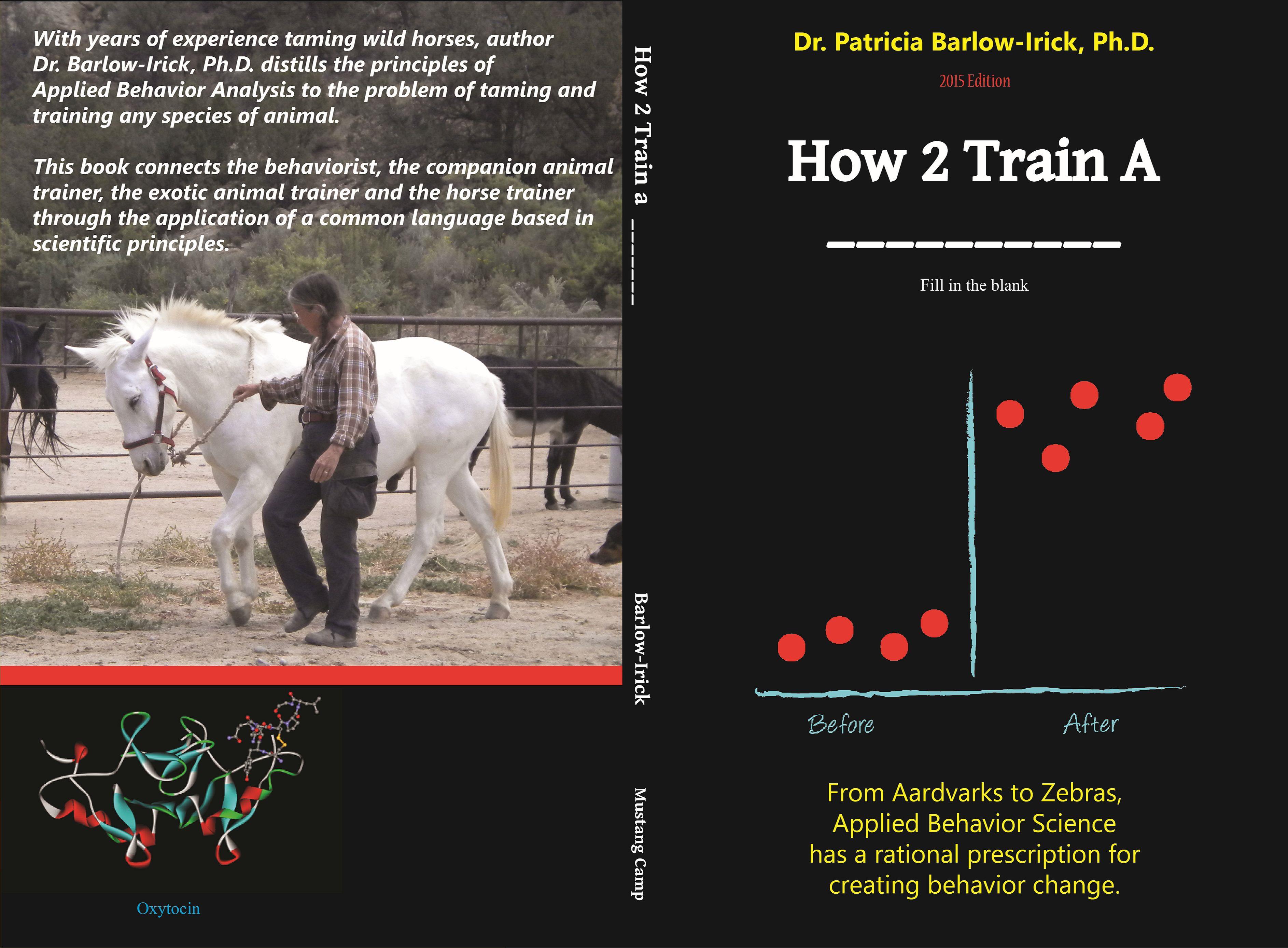 How 2 Train A _____ cover image