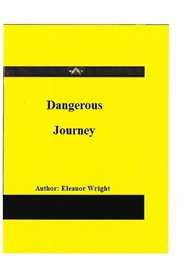 The Last Dangerous Journey cover image