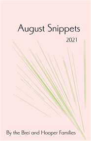 August Snippets cover image