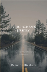 A Wise and Safe Journey  cover image