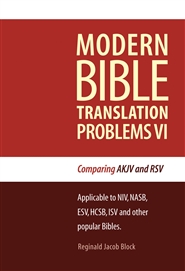 MODERN BIBLE TRANSLATION PROBLEMS VI cover image