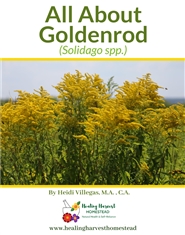 All About Goldenrod cover image