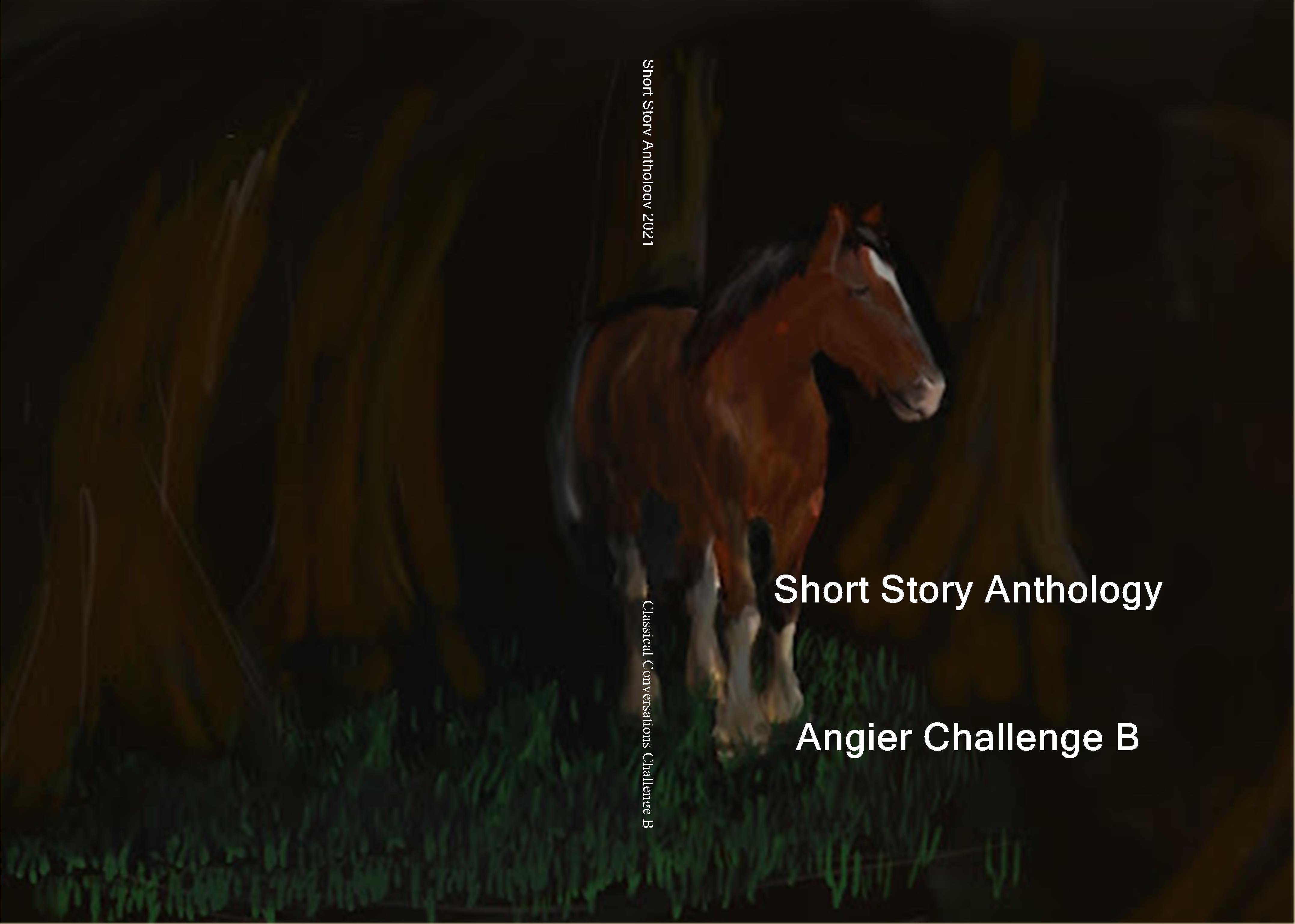 Short Story Anthology cover image