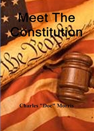 Meet The Constitution cover image
