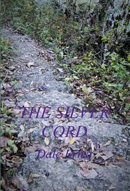 THE SILVER CORD cover image