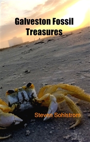 Galveston Fossil Treasures cover image