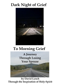 Dark Night of Grief to Morning Grief cover image