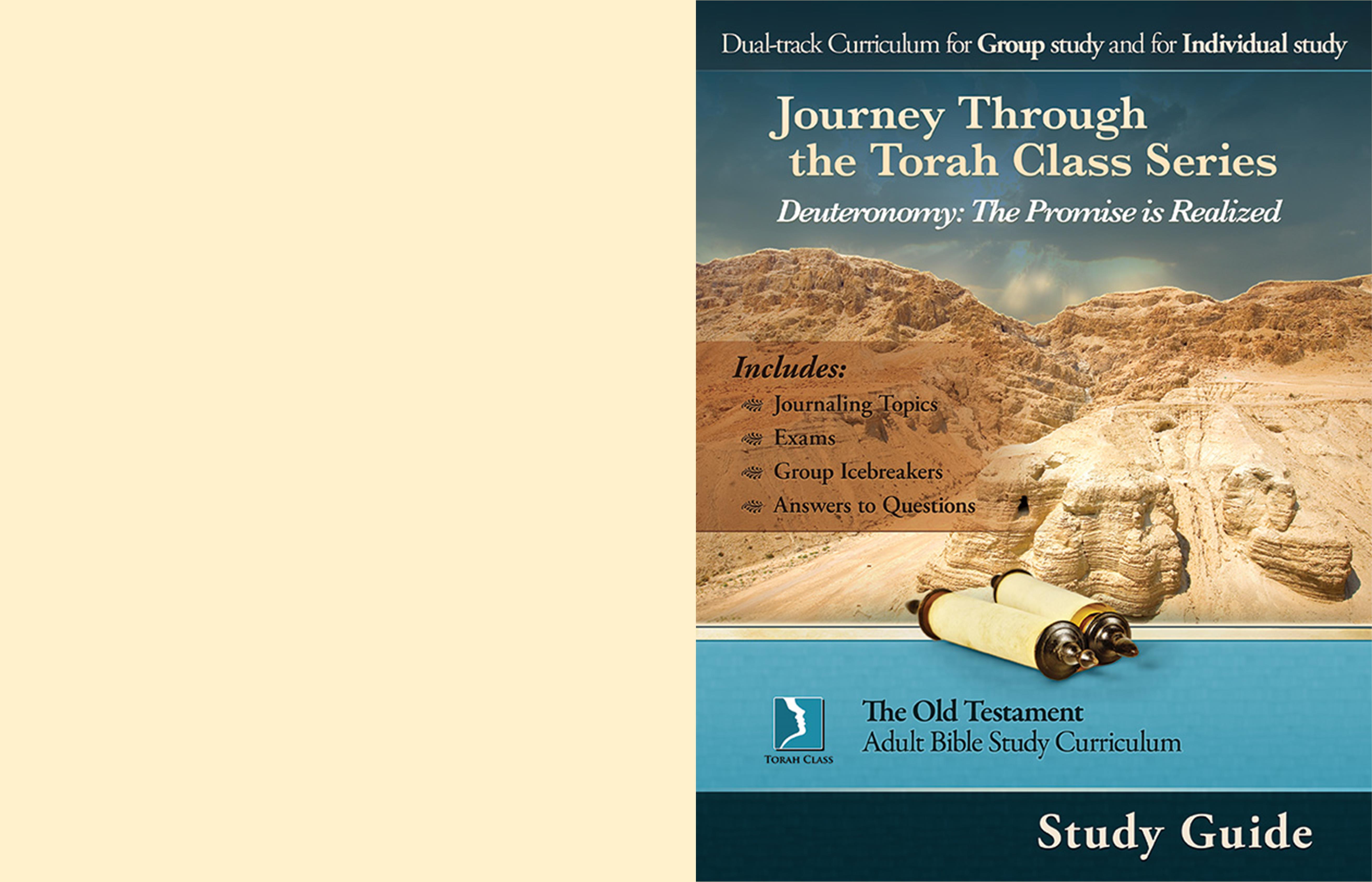 Deuteronomy: The Promise is Realized, Study Guide cover image
