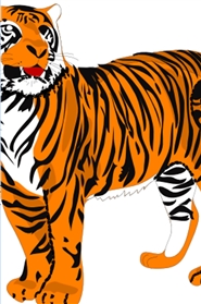 Toby the Tiger cover image