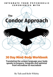 The Condor Approach  cover image