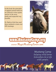 Mustang Taming Workbook cover image