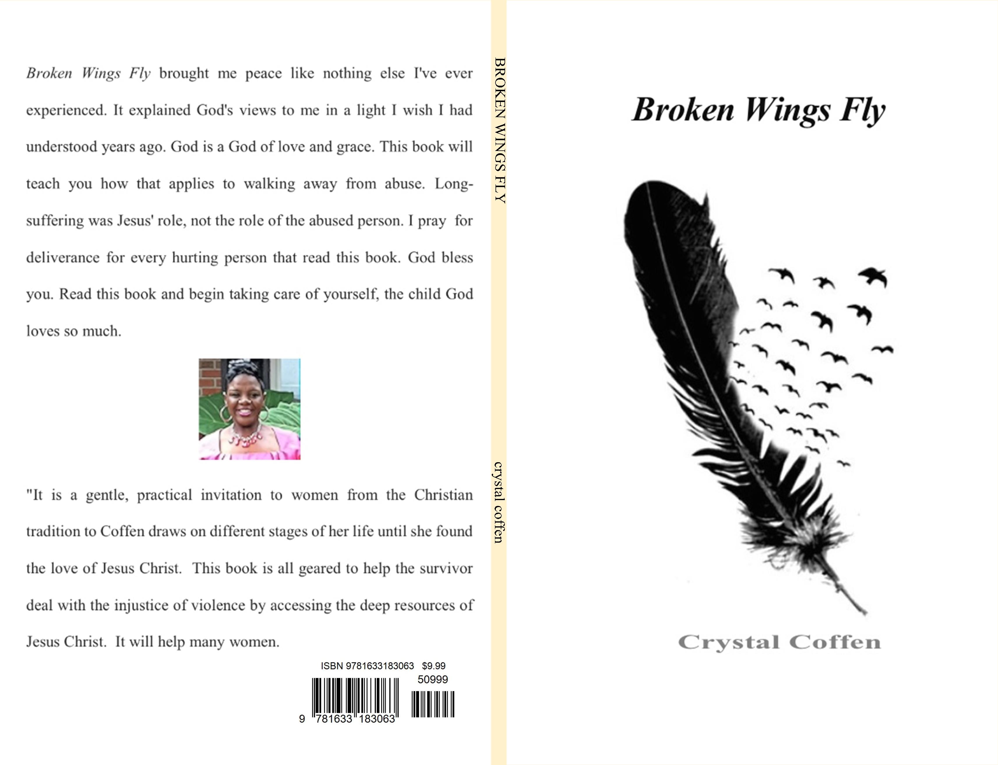 BROKEN WINGS FLY cover image