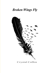 BROKEN WINGS FLY cover image