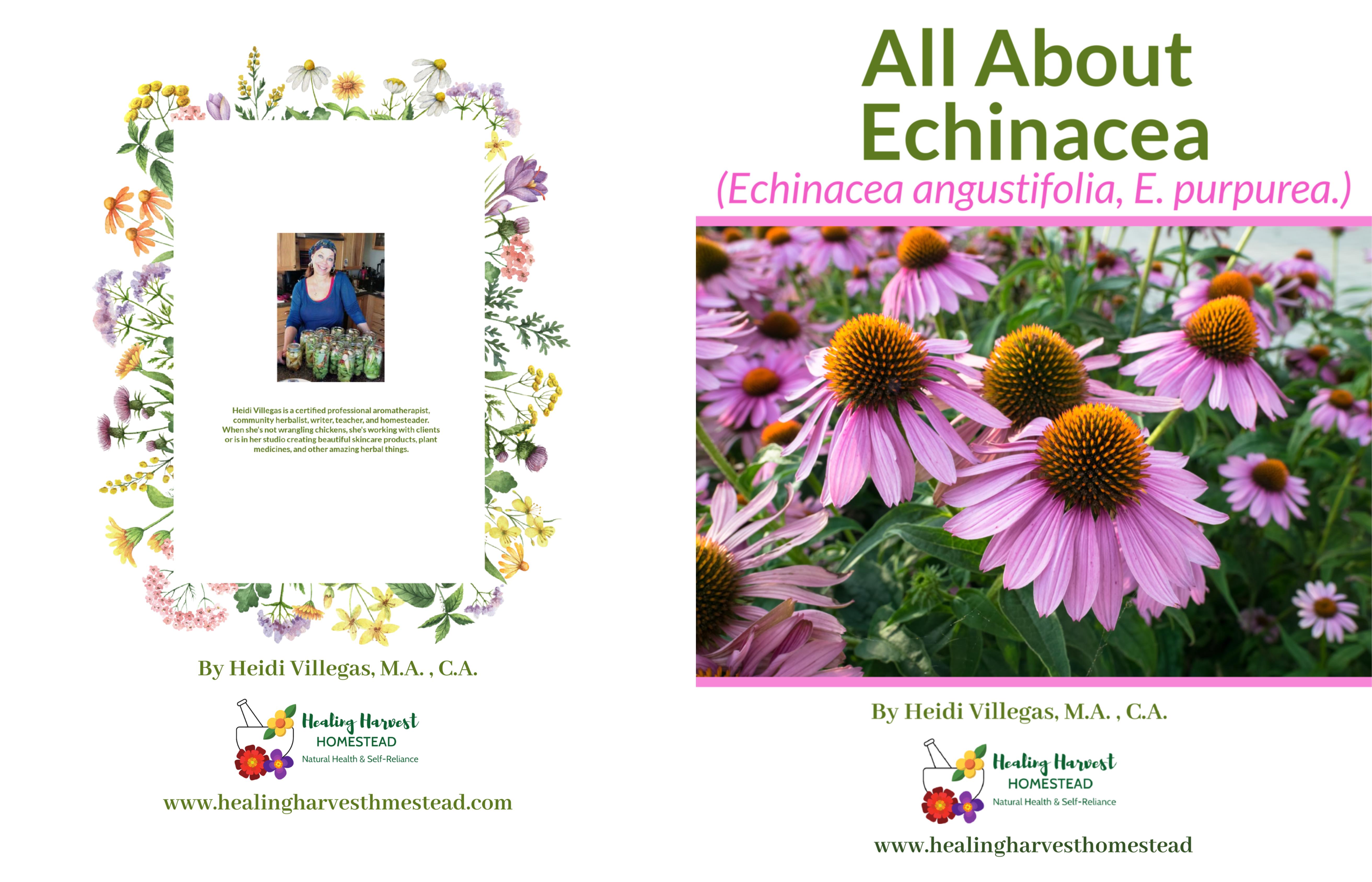 All About Echinacea cover image