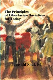 The Principles of Libertarian Socialism for Today cover image
