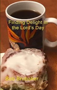 Finding Delight  in the Lord’s Day cover image