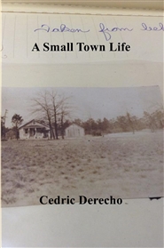 A Small Town Life cover image