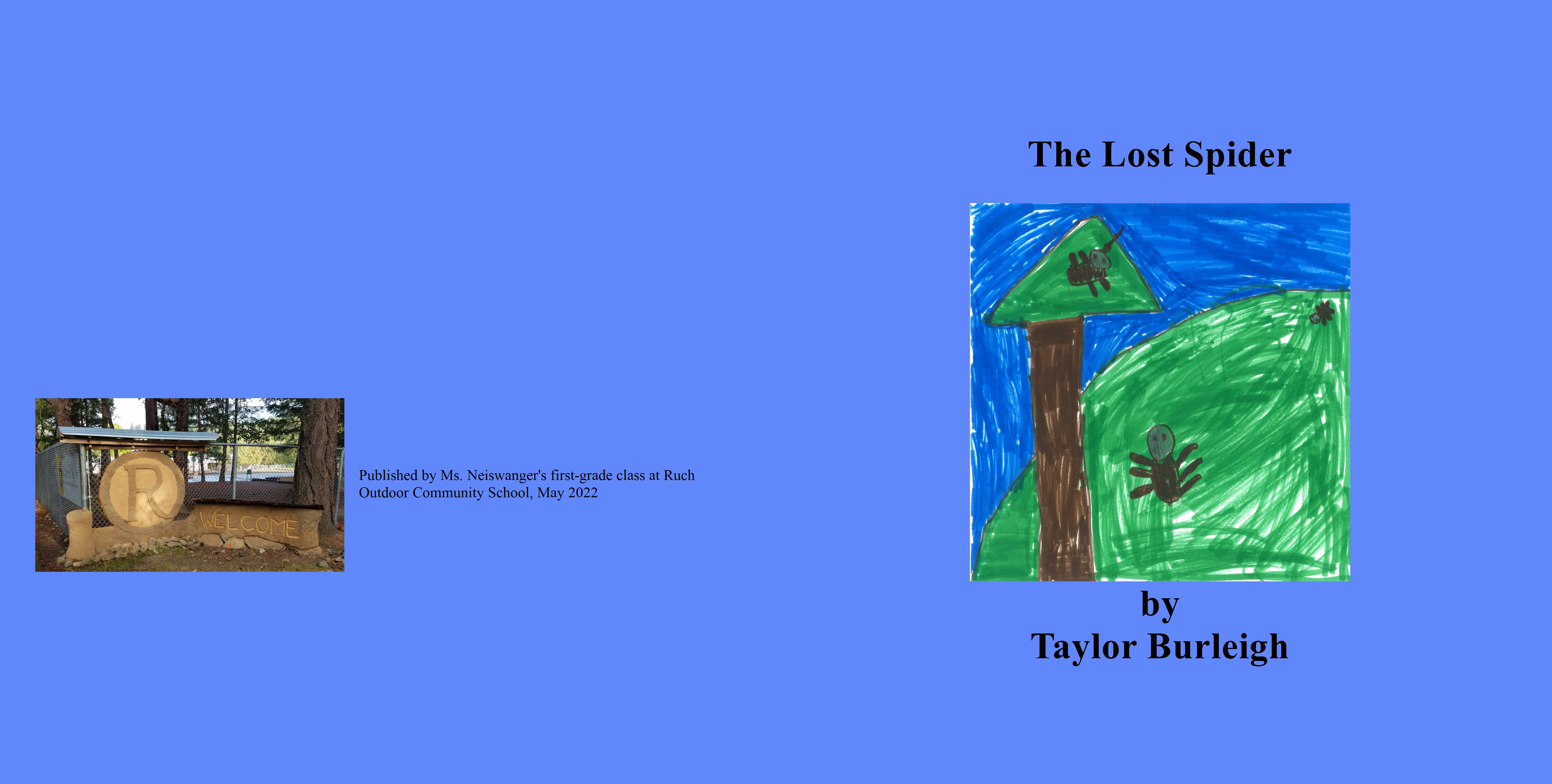 The Lost Spider cover image