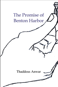 The Promise of Benton Harbor cover image
