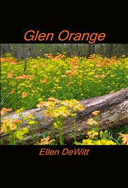 Glen Orange cover image