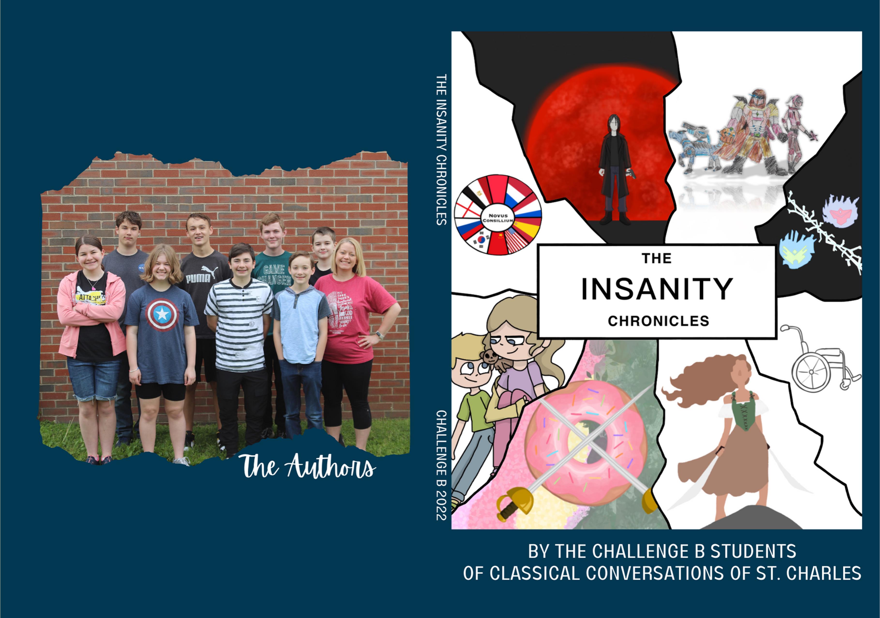 The Insanity Chronicles cover image