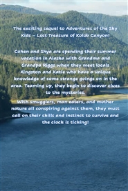 Adventures of the Sky Kids, next generation, Mystery at Totem Cove cover image