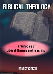 BIBLICAL THEOLOGY cover image
