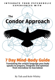 The Condor Approach 7 Day Integration Guide  cover image