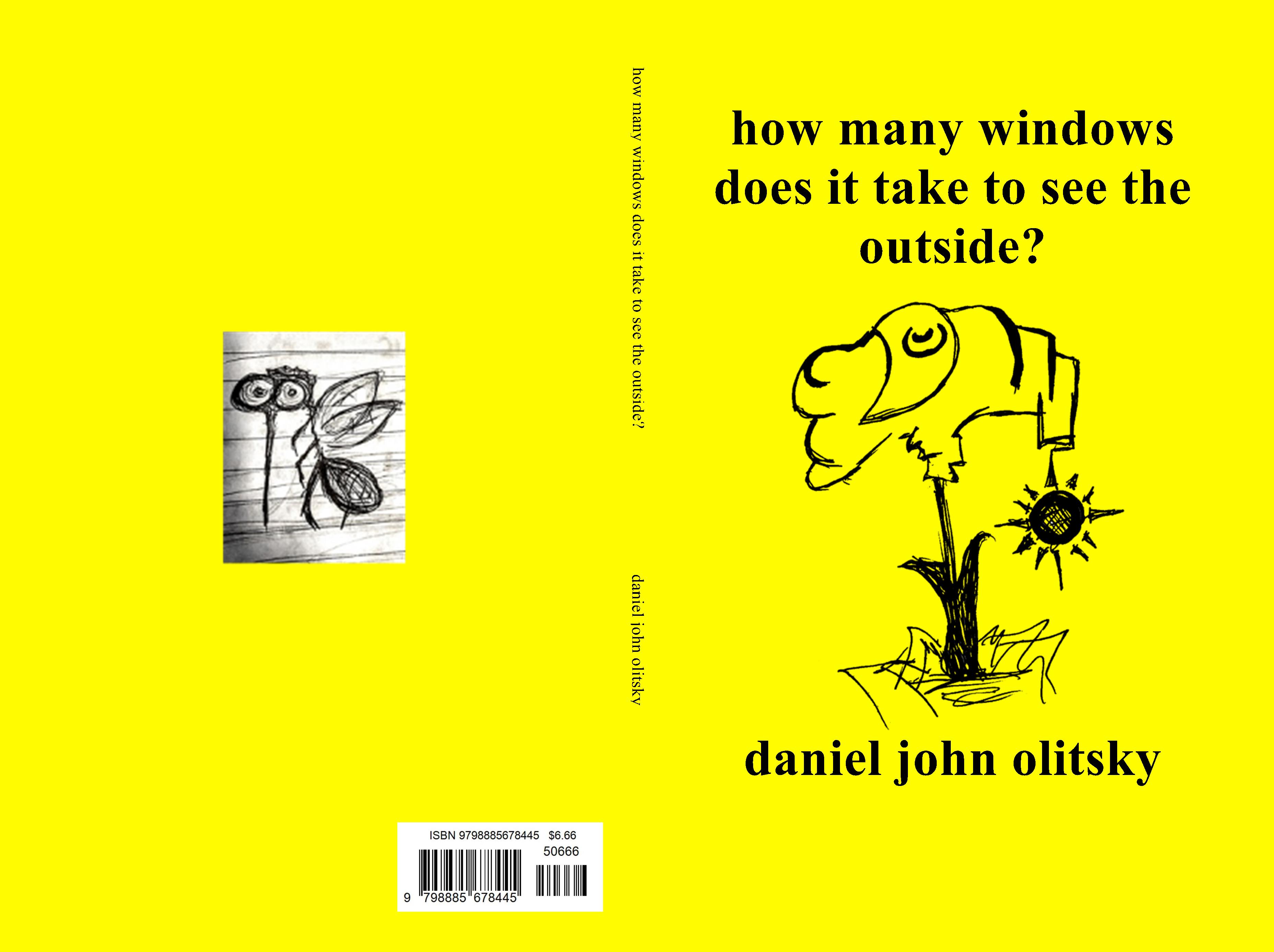 how many windows does it take to see the outside? by daniel john